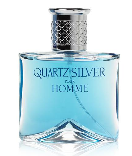 Quartz Silver Pour Homme - 100ml